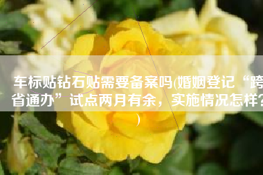 车标贴钻石贴需要备案吗(婚姻登记“跨省通办”试点两月有余，实施情况怎样？)