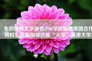 韦伯斯特大学排名(PSB学院新增美国合作院校！在新加坡还能“入学”英澳大学)