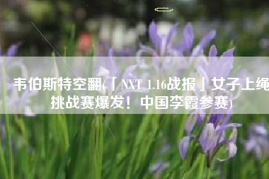 韦伯斯特空翻(「NXT 1.16战报」女子上绳挑战赛爆发！中国李霞参赛)