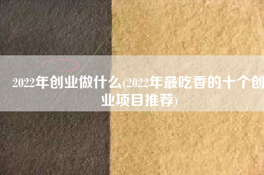 2022年创业做什么(2022年最吃香的十个创业项目推荐)