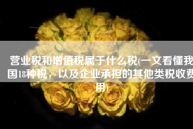 营业税和增值税属于什么税(一文看懂我国18种税，以及企业承担的其他类税收费用)