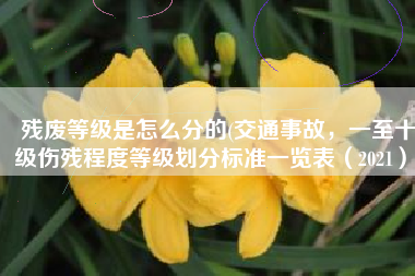 残废等级是怎么分的(交通事故，一至十级伤残程度等级划分标准一览表（2021）)