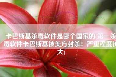 卡巴斯基杀毒软件是哪个国家的(第一杀毒软件卡巴斯基被美方封杀：严重程度扩大)