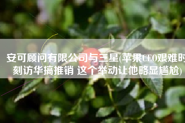 安可顾问有限公司与三星(苹果CEO艰难时刻访华搞推销 这个举动让他略显尴尬)