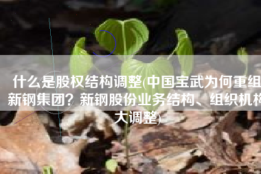 什么是股权结构调整(中国宝武为何重组新钢集团？新钢股份业务结构、组织机构大调整)