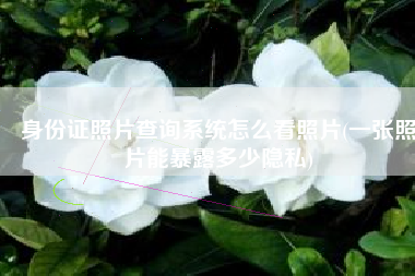 身份证照片查询系统怎么看照片(一张照片能暴露多少隐私)