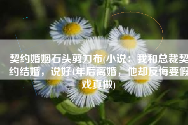 契约婚姻石头剪刀布(小说：我和总裁契约结婚，说好1年后离婚，他却反悔要假戏真做)