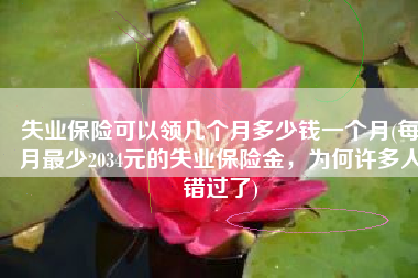 失业保险可以领几个月多少钱一个月(每月最少2034元的失业保险金，为何许多人错过了)