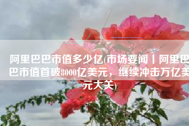 阿里巴巴市值多少亿(市场要闻丨阿里巴巴市值首破8000亿美元，继续冲击万亿美元大关)