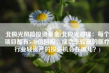 北极光风险投资基金(北极光邓锋：每个项目都有5-10倍回报，成功率较高的医疗行业轻资产的投资机会在哪儿？)