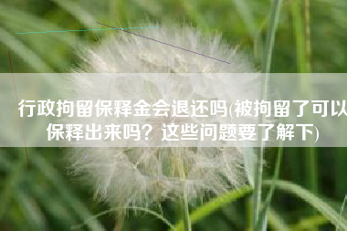 行政拘留保释金会退还吗(被拘留了可以保释出来吗？这些问题要了解下)