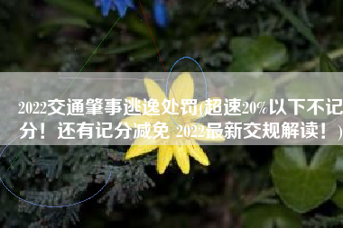 2022交通肇事逃逸处罚(超速20%以下不记分！还有记分减免 2022最新交规解读！)