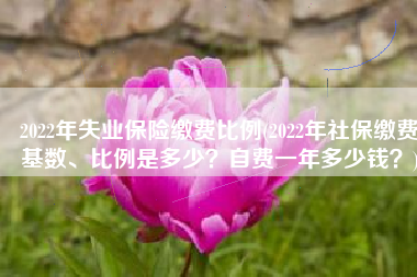 2022年失业保险缴费比例(2022年社保缴费基数、比例是多少？自费一年多少钱？)