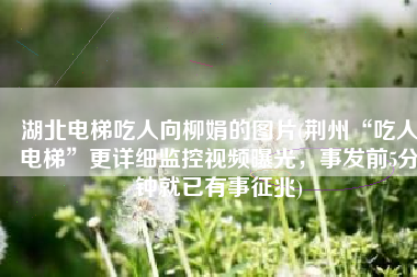 湖北电梯吃人向柳娟的图片(荆州“吃人电梯”更详细监控视频曝光，事发前5分钟就已有事征兆)