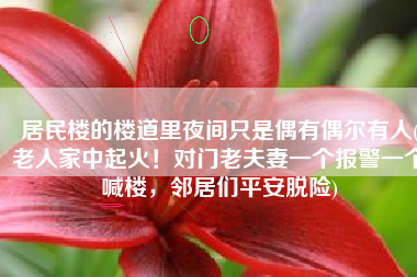 居民楼的楼道里夜间只是偶有偶尔有人(老人家中起火！对门老夫妻一个报警一个喊楼，邻居们平安脱险)