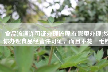 食品流通许可证办理流程,在哪里办理(教你办理食品经营许可证，而且不花一毛钱)
