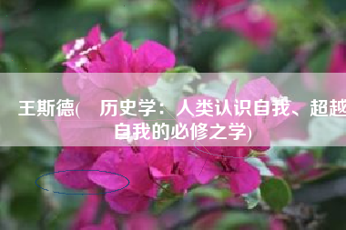 王斯德(​历史学：人类认识自我、超越自我的必修之学)