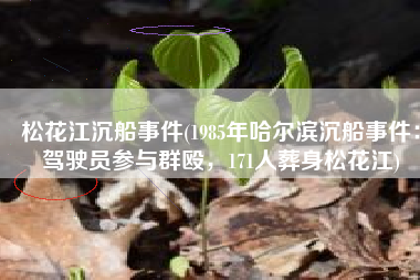 松花江沉船事件(1985年哈尔滨沉船事件：驾驶员参与群殴，171人葬身松花江)