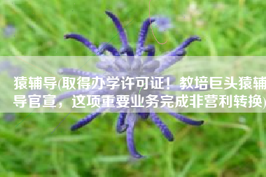 猿辅导(取得办学许可证！教培巨头猿辅导官宣，这项重要业务完成非营利转换)