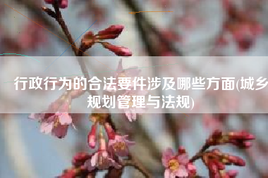 行政行为的合法要件涉及哪些方面(城乡规划管理与法规)