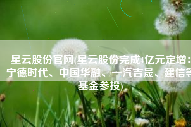 星云股份官网(星云股份完成4亿元定增：宁德时代、中国华融、一汽吉晟、建信等基金参投)