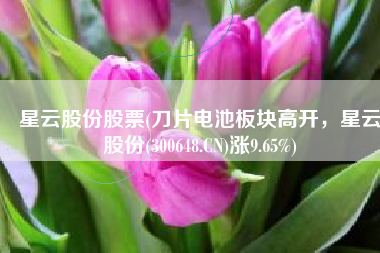 星云股份股票(刀片电池板块高开，星云股份(300648.CN)涨9.65%)