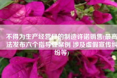 不得为生产经营目的制造许诺销售(最高法发布六个指导性案例 涉及虚假宣传纠纷等)