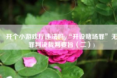 开个小游戏厅违法吗(“开设赌场罪”无罪判决裁判要旨（二）)