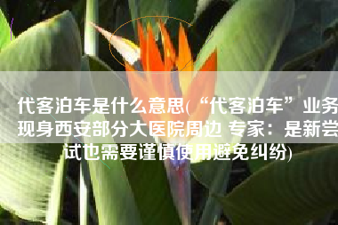 代客泊车是什么意思(“代客泊车”业务现身西安部分大医院周边 专家：是新尝试也需要谨慎使用避免纠纷)