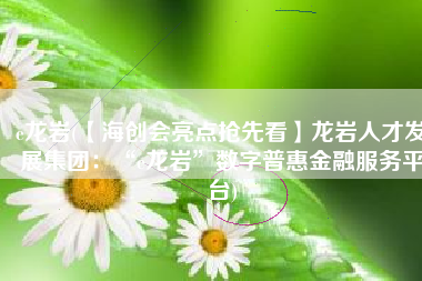 e龙岩(【海创会亮点抢先看】龙岩人才发展集团：“e龙岩”数字普惠金融服务平台)