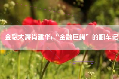 金融大鳄肖建华(“金融巨鳄”的翻车记)