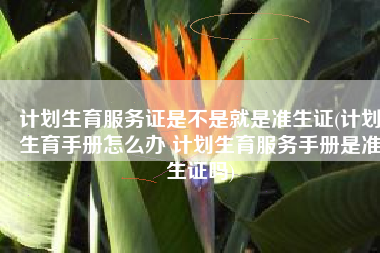 计划生育服务证是不是就是准生证(计划生育手册怎么办 计划生育服务手册是准生证吗)