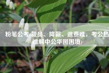 粉笔公考(裁员、降薪、退费难，考公热难解中公华图困境)