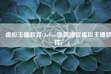 虚拟主播软件(AcFun面部捕捉虚拟主播软件)