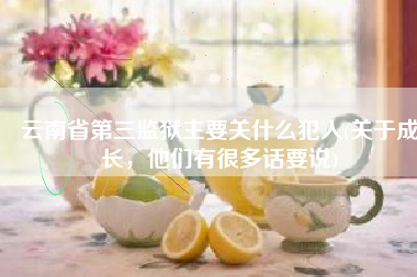 云南省第三监狱主要关什么犯人(关于成长，他们有很多话要说)