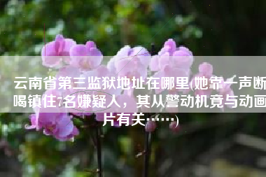 云南省第三监狱地址在哪里(她靠一声断喝镇住7名嫌疑人，其从警动机竟与动画片有关……)
