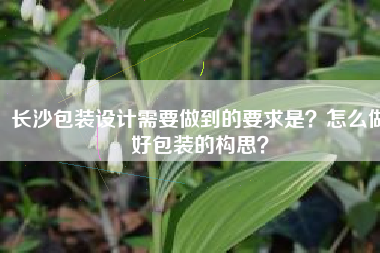 长沙包装设计需要做到的要求是？怎么做好包装的构思？