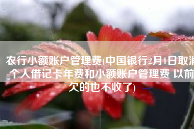 农行小额账户管理费(中国银行2月1日取消个人借记卡年费和小额账户管理费 以前欠的也不收了)