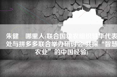 朱健翀哪里人(联合国粮农组织驻华代表处与拼多多联合举办研讨会 共探“智慧农业”的中国经验)