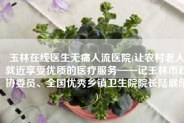 玉林在线医生无痛人流医院(让农村老人就近享受优质的医疗服务——记玉林市政协委员、全国优秀乡镇卫生院院长陆展昭)