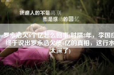 罗永浩欠6个亿怎么回事(时隔2年，李国庆终于说出罗永浩欠债6亿的真相，这行水太深了)