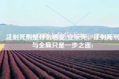 注射死刑是什么感觉(安乐死、注射死刑与全麻只是一步之遥)