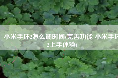 小米手环2怎么调时间(完善功能 小米手环2上手体验)