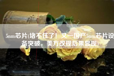 5nm芯片(堵不住了！又一国产5nm芯片设备突破，美方改规后果显现)
