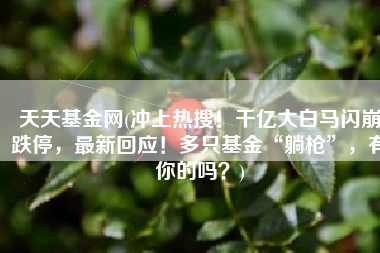 天天基金网(冲上热搜！千亿大白马闪崩跌停，最新回应！多只基金“躺枪”，有你的吗？)