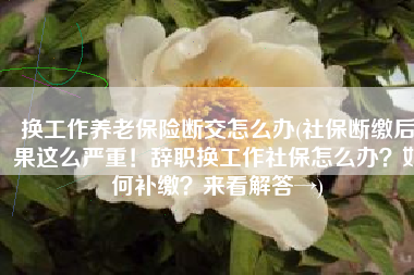 换工作养老保险断交怎么办(社保断缴后果这么严重！辞职换工作社保怎么办？如何补缴？来看解答→)