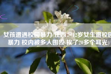 女孩遭遇校园暴力(江西：12岁女生遭校园暴力 校内被多人围殴 挨了20多个耳光)