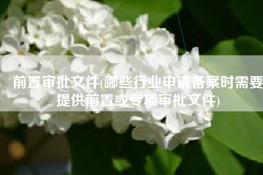 前置审批文件(哪些行业申请备案时需要提供前置或专项审批文件)
