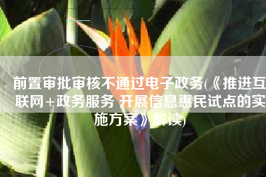 前置审批审核不通过电子政务(《推进互联网+政务服务 开展信息惠民试点的实施方案》解读)