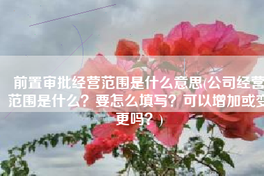 前置审批经营范围是什么意思(公司经营范围是什么？要怎么填写？可以增加或变更吗？)